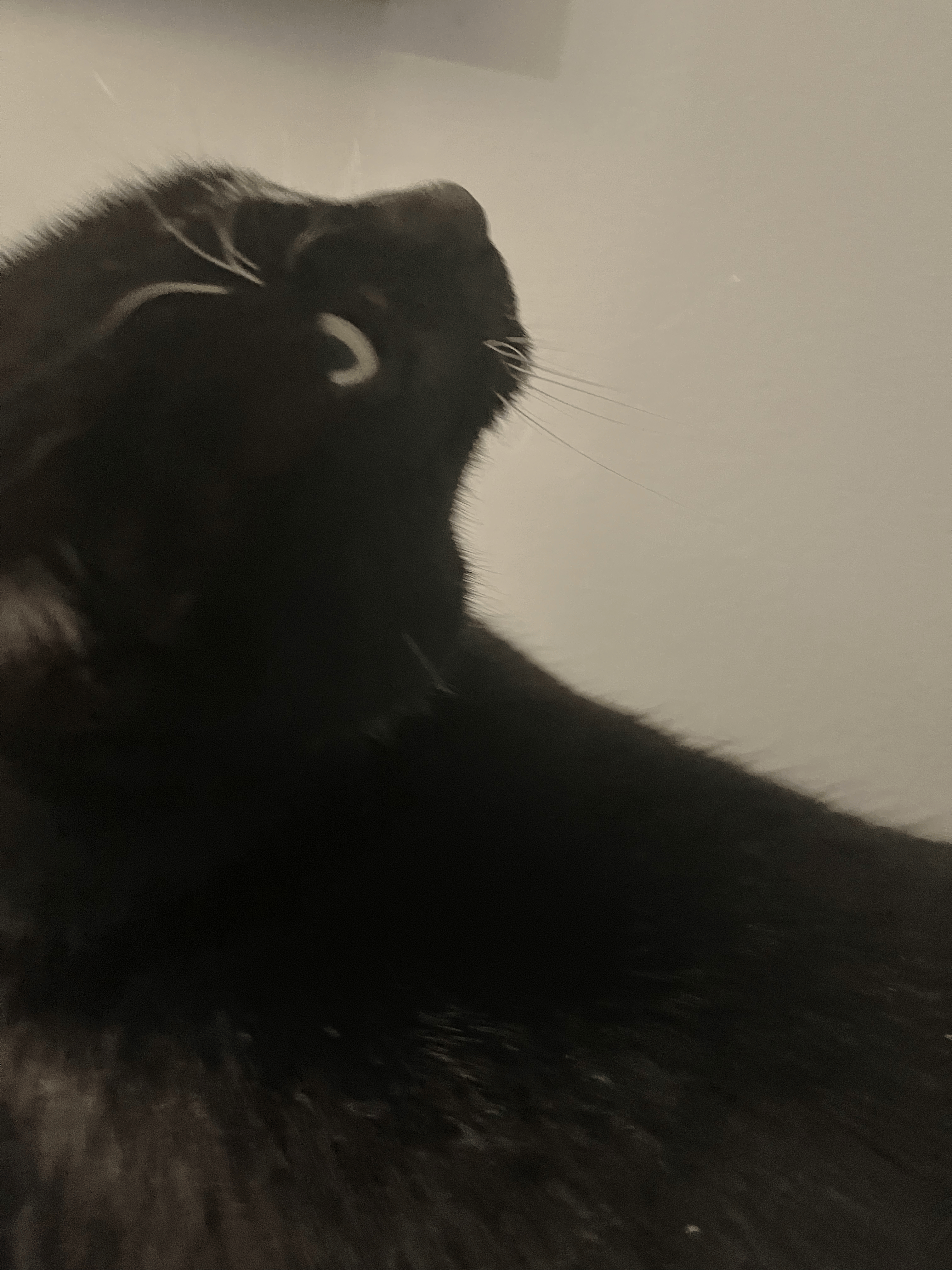 minnie