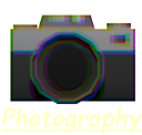 cat pictures