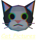 cat pictures